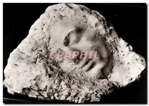 Cartes postales moderne Republica Populara Romina Brincusi Muza