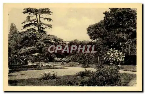 Cartes postales Chateau De La Malmaison Roseraie Et Cedre De Marengo