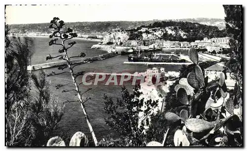 Cartes postales Nice Vue Generale Prise Au Mont Boron