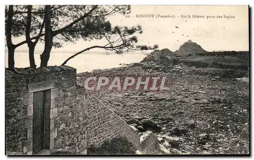Cartes postales Roscoff Roc&#39 H Illievec Price of the Fir trees