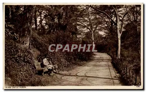 Cartes postales Blaise Castle Woods
