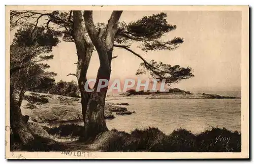 Ansichtskarte AK La Douce France Cote D&#39Azur Les Iles D&#39Hyeres Porquerolles Bord De Mar