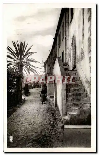 Ansichtskarte AK La Cote Vermeille Collioure Une Vieille Rue Du Faubourg