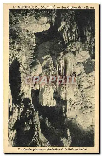 Ansichtskarte AK La Merveille Du Dauphine Les Grottes de la Balme Le Saule pleureur Stalactites de la salle du mo