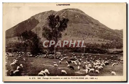 Ansichtskarte AK L&#39Auvergne Pacage De Moutons Au Pied Du Puy De Dome