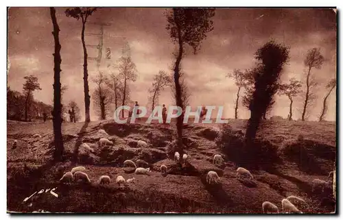 Cartes postales La Douce France En Limousin Paturage