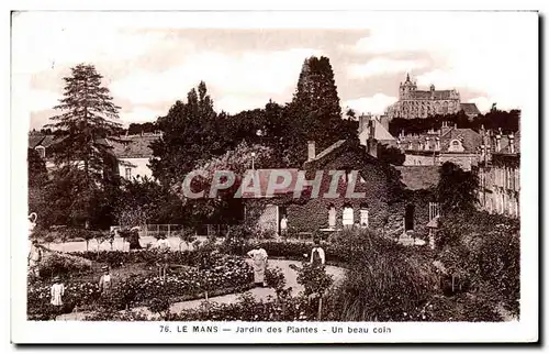 Ansichtskarte AK Le Mans Jardin des Piantes un beau coin