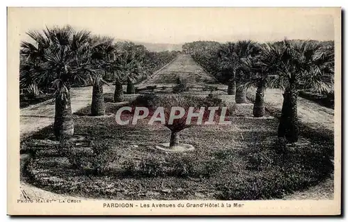 Cartes postales Pardigon Les Avenues du Grand Hotel a la Mer