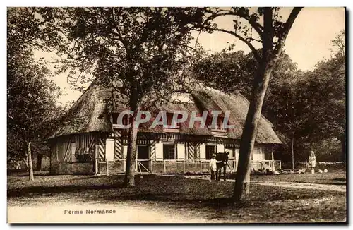 Cartes postales Ferme Normande