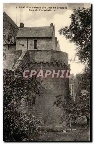 Cartes postales Nantes Chateau Des Ducs De Bretagne Tour Du Pled De Blche