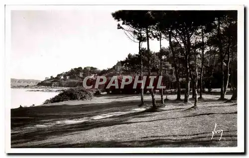 Cartes postales Perros Guirec Sapiniere En Bordure De La Plage De Trestraou