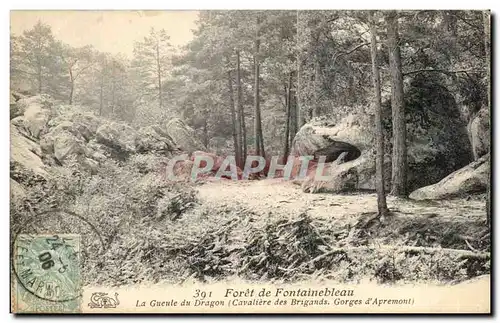 Cartes postales Foret de Fontainebleau La Gueule du Dragon Cavaliere des Dragons Gorges d&#39Apremont