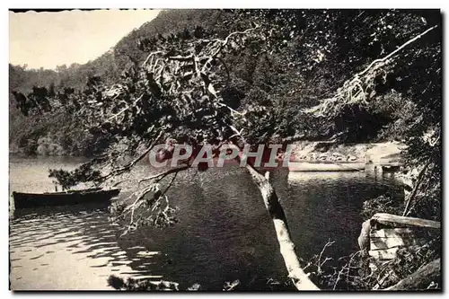 Ansichtskarte AK Les Belles Provinces Francaises L&#39Auvergne Environs de Besse Sur les bords du Lac Pavin