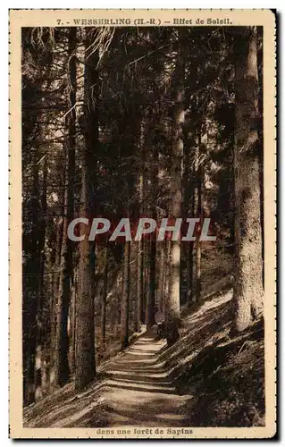 Cartes postales Wesserling Effet de soleil dans Une Foret de Sapins