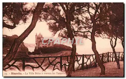 Cartes postales Biarritz la Villa Belza a travers les Tamaris