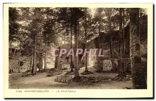 Cartes postales Wangenbourg Le Chateau