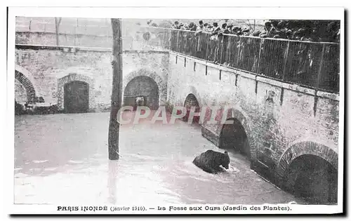 Ansichtskarte AK Paris Innonde La Fosse aux Ours Jardin des plantes