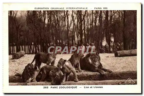 Ansichtskarte AK Expostion Coloniale Internationale Paris 1931 Parc Zoologique Lion et lionnes