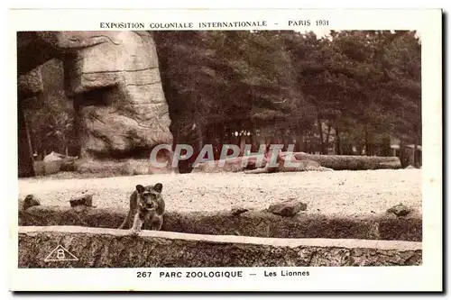 Cartes postales Expostion Coloniale Internationale Paris Parc Zoologique Lion et lionnes