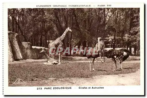 Cartes postales Expostion Coloniale Internationale Paris Parc Zoologique Girafes et Autruches