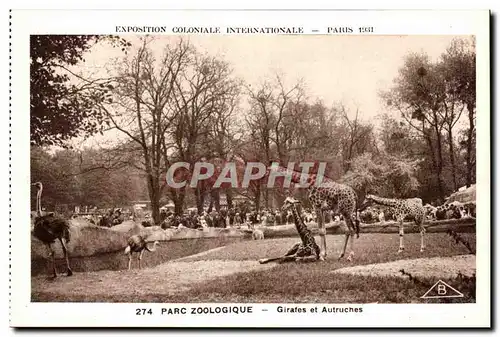 Ansichtskarte AK Expostion Coloniale Internationale Paris Parc Zoologique Girafes et Autruches