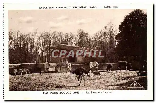 Ansichtskarte AK Expostion Coloniale Internationale Paris Parc Zoologique La savane Africaine Autruches Zebres
