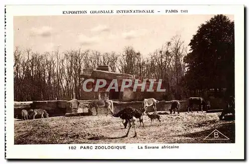 Cartes postales Expostion Coloniale Internationale Paris Parc Zoologique La savane Africaine Autruches Zebres