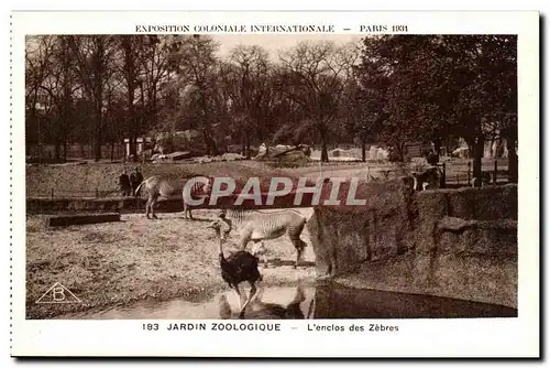 Cartes postales Expostion Coloniale Internationale Paris Parc Zoologique L&#39Enclos des Zebres autruche