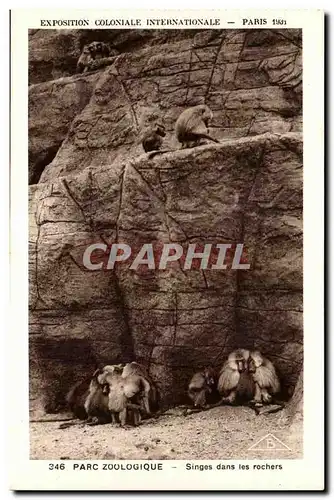 Cartes postales Expostion Coloniale Internationale Paris Parc Zoologique Singes dans les Rochers