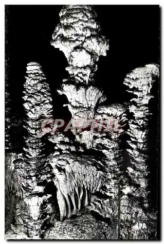 Cartes postales En Parcourant Les Gorges Du Tarn L'Aven Armand Les choux fleurs