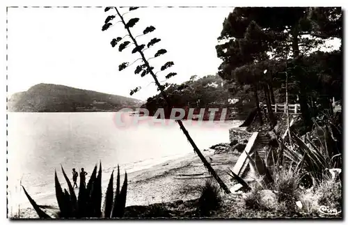 Cartes postales moderne Le Canadel En Face Le Cap Negre