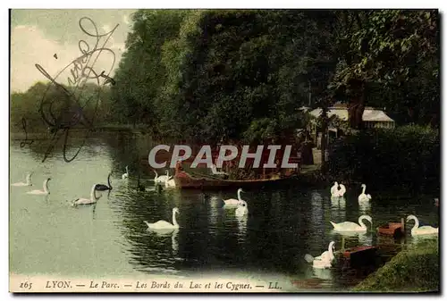 Ansichtskarte AK Lyon Le Parc Les Bords Du Lac Et Les Cygnes cygnes