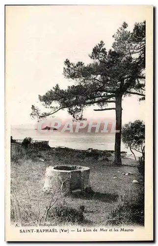 Cartes postales Saint Raphel Le Lion De Mer et les Maures