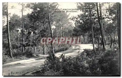 Ansichtskarte AK Arcachon Route de Moulleau