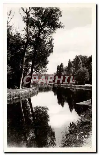 Cartes postales Auxerre l&#39Arbre sec et le Canal