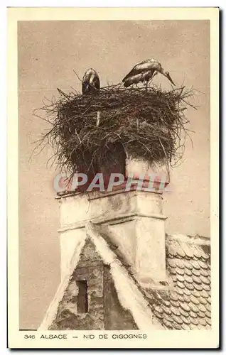 Cartes postales Alsace Nid De Cigognes