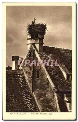 Cartes postales Alsace Nid De Cigognes