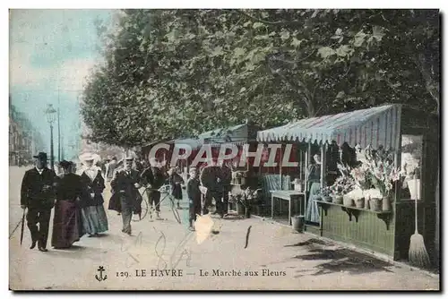 Cartes postales Le Havre Le Marche Aux Fleurs