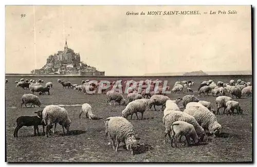 Ansichtskarte AK Greves Du Mont Saint Michel Les Pres Sales Moutons