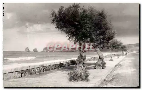 Cartes postales moderne Hendaye