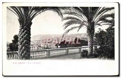 Cartes postales San Remo Fra i palmizi