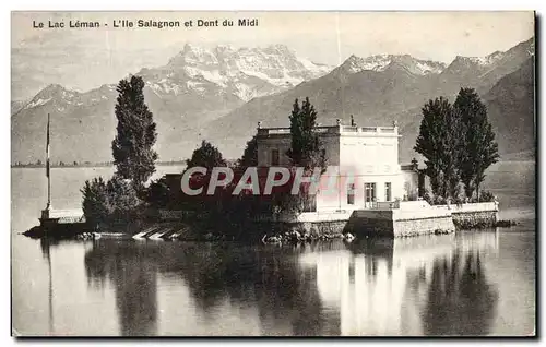 Cartes postales Le Lac Leman L&#39ile Salagnon et Dent du Midi