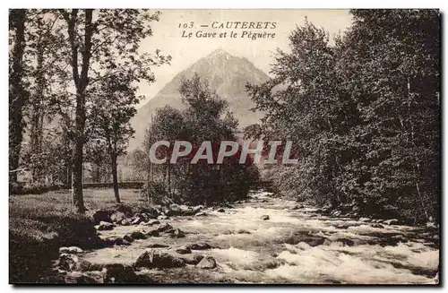 Cartes postales Cauterets Le Gave Et Le Peguere