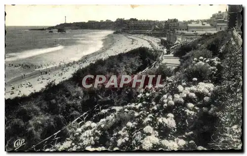 Cartes postales Biarritz Les Hortensais et la Grande Plage