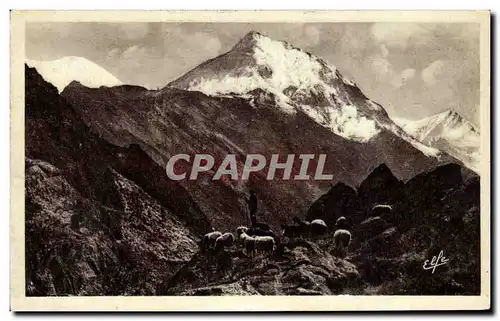 Cartes postales Un Troupeau Dans La haute montagne