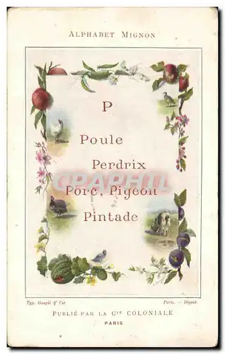 Cartes postales Alphabet mignon Poule perdrix Porc pigeon Pintade Cie coloniale Paris