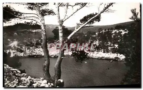 Cartes postales Cassis Sur Mer Calanque de Port Pin