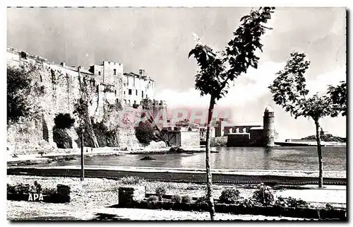Ansichtskarte AK Collioure Vue Generale sur le Chateau Fort et I&#39Eglise