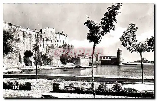 Cartes postales Collioure Vue Generale sur le Chateau Fort et I&#39Eglise