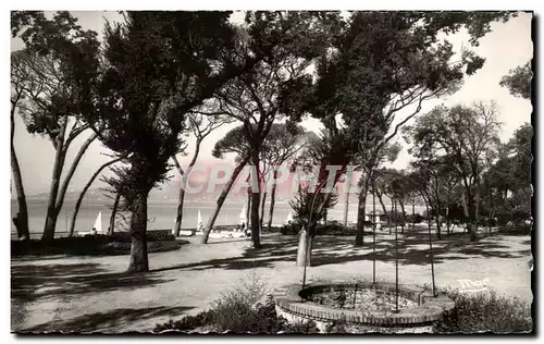 Cartes postales La Douce D&#39Azur Juan Les Pins La Pinede